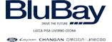 Logo di Ford BluBay